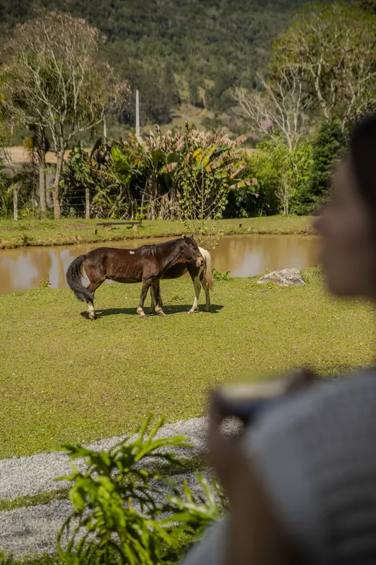 Cavalo pastando perto do lago