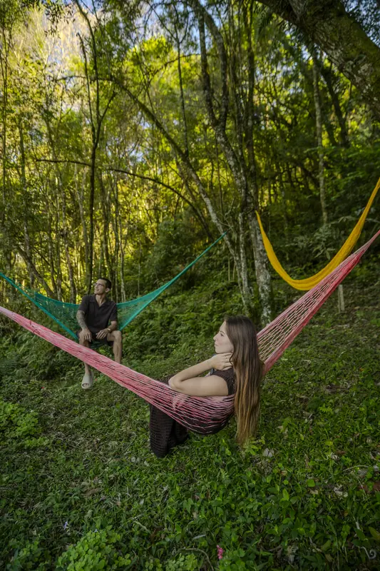 Redes coloridas penduradas entre as árvores do bosque