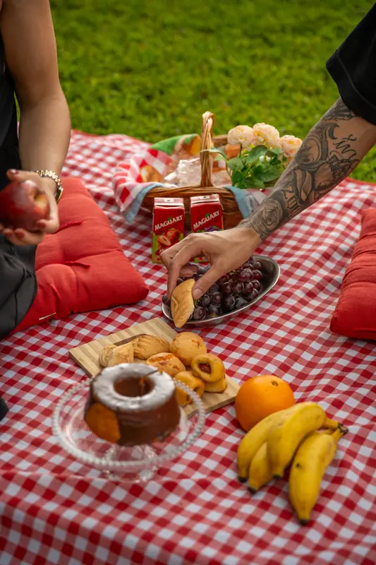 Toalha xadrez no gramado com frutas, bolo e almofadas vermelhas
